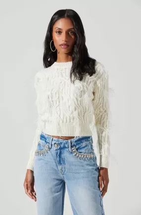 Almeida Feather Embellished Cable Knit Sweater