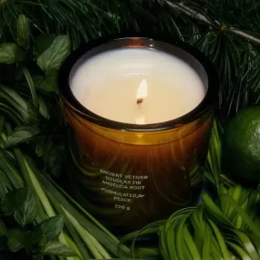 Douglas Fir & Ancient Vetiver Candle