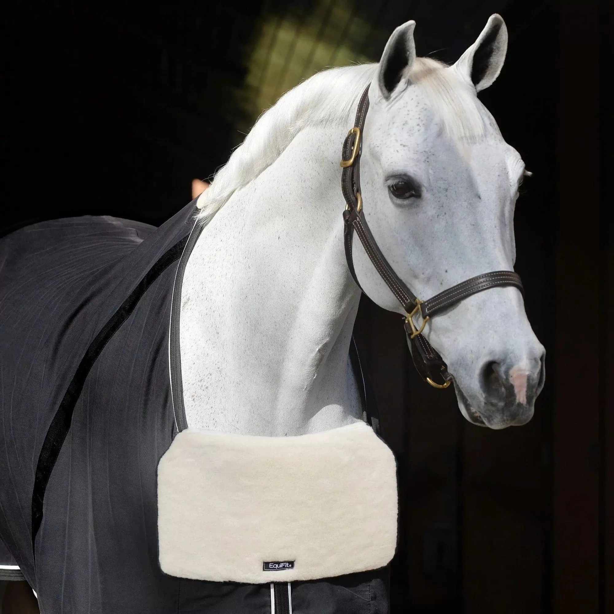 EquiFit BlanketBib