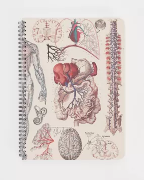 Human Anatomy Spiral Notebook