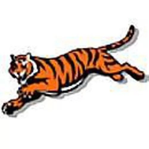 KR NFL Cincinnati Bengals Towel