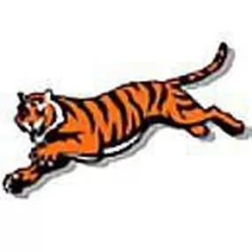 KR NFL Cincinnati Bengals Towel