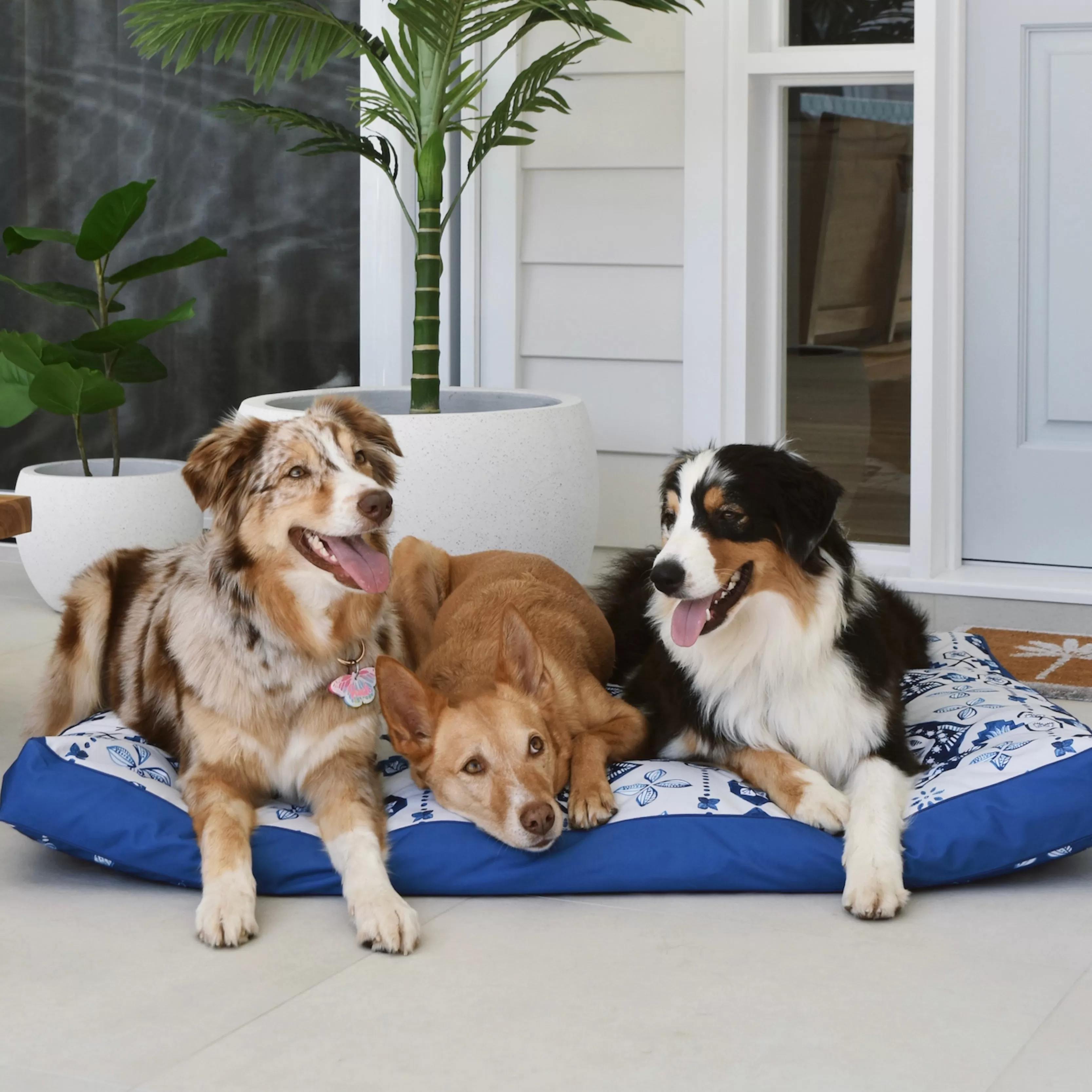 Noosa Nights Water-Resistant - XXL Dog Bed