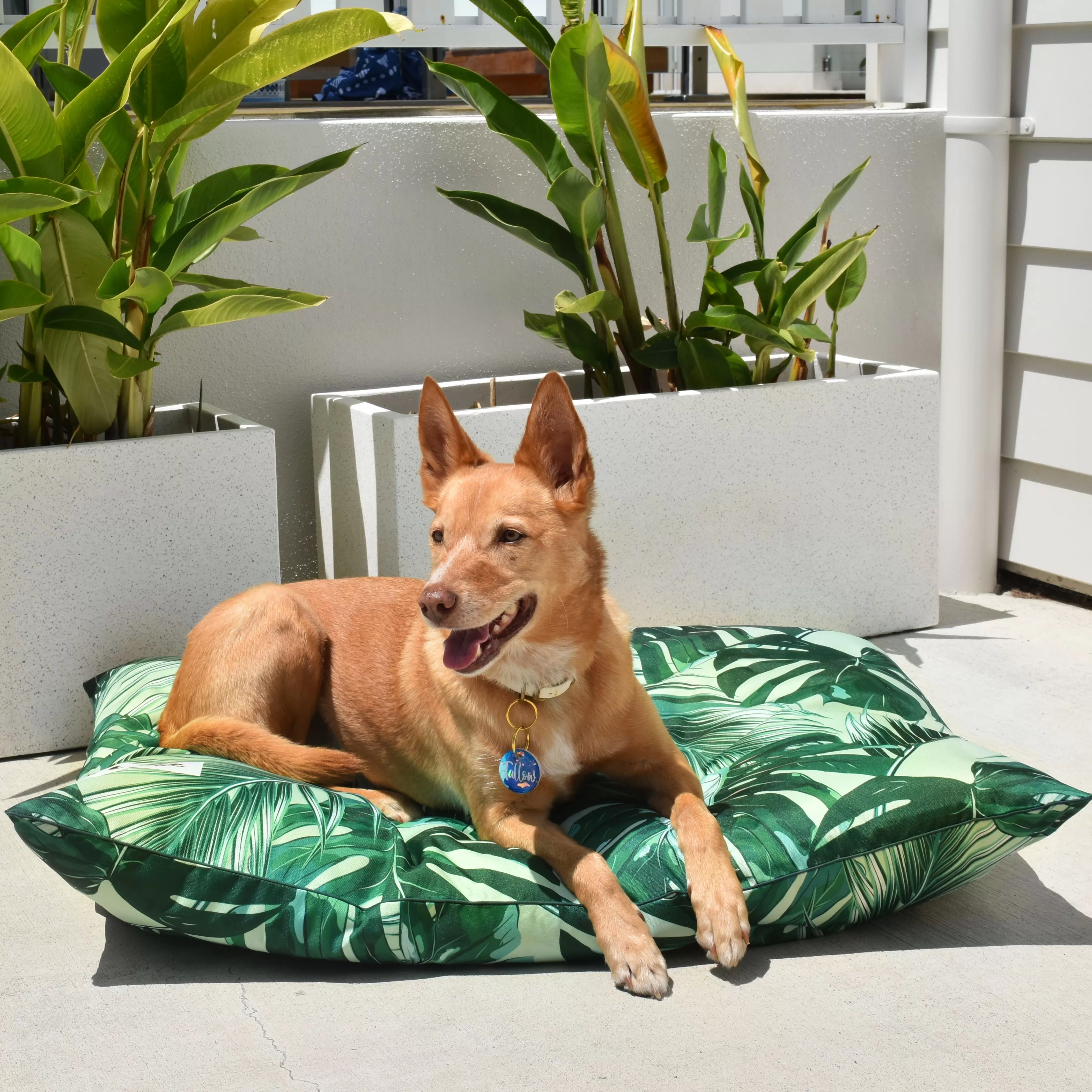 Tropical Leaves Water-Resistant - EXTRA LARGE Dog Bed